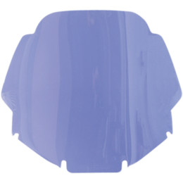 GL1200 Windshield